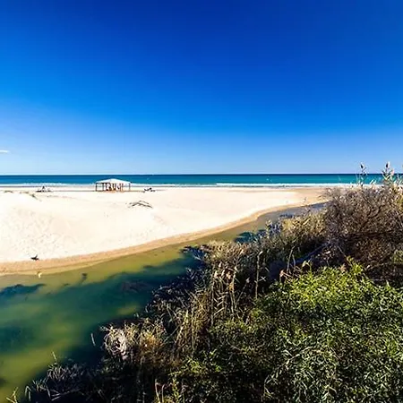 Mil Palmeras Campoamor
